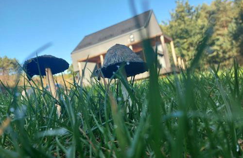 Calm House Krzynia - dom nad jeziorem do wynajęcia - Foto 5