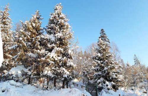 Villa Róża - Foto 40