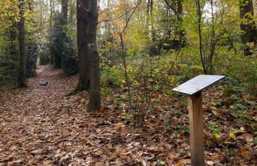 Chaumière 6-8p, 4ch, proche Honfleur - Foto 70