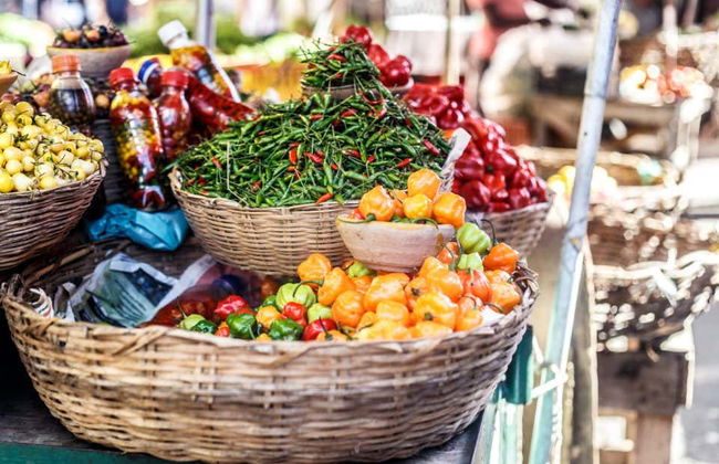 Sightseeing Bus Tour of Salvador da Bahia - Photo 7