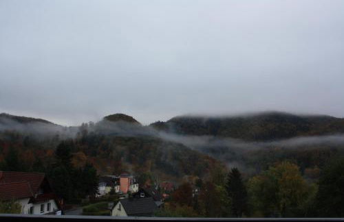 FeWo Harz Haennig 1 - Foto 52