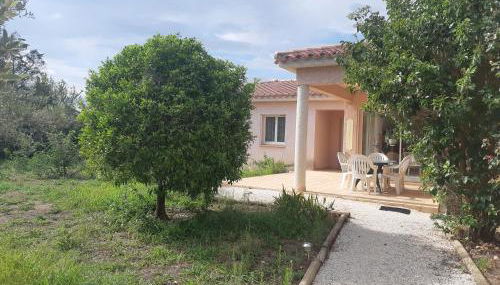 Villa de standing avec gd jardin arboré près d'Argelès sur Mer - Foto 4, Garden
