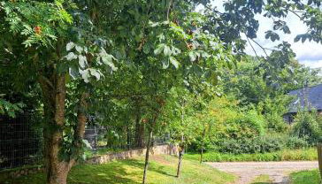 Mały Domek - Foto 4