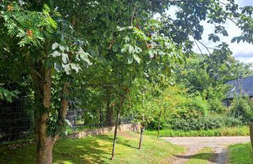 Mały Domek - Foto 4