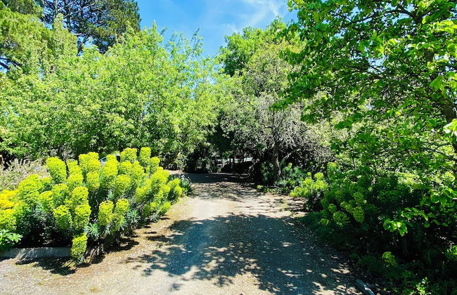 Sutton Spring Art Retreats - Foto 68