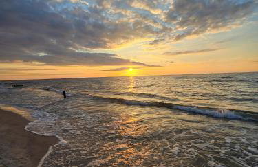Zalotna Mewa Gąski - Photo 40