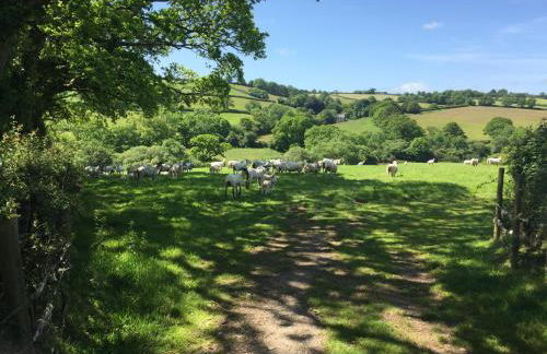 Jacks Cottage - Foto 31