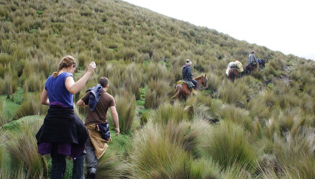 Chimborazo's trails