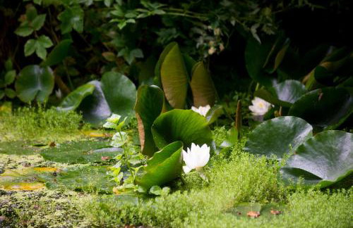 Bird Nest - dine with the eagles Private Retreat - Foto 12