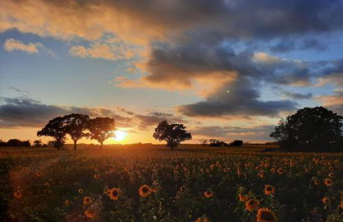 Seeapartment Wustrau - Photo 22