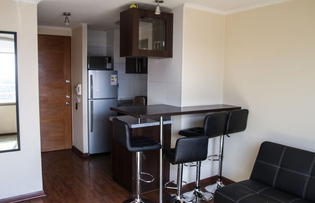 Santiago Furnished Apartments - Foto 22