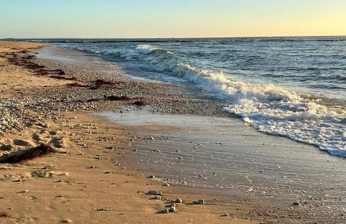 T2 Etelria les pieds dans l'eau - Foto 23