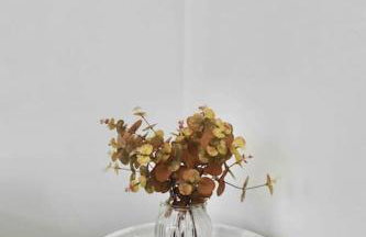 Contemporary & Stylish House . FREE Parking - Foto 67