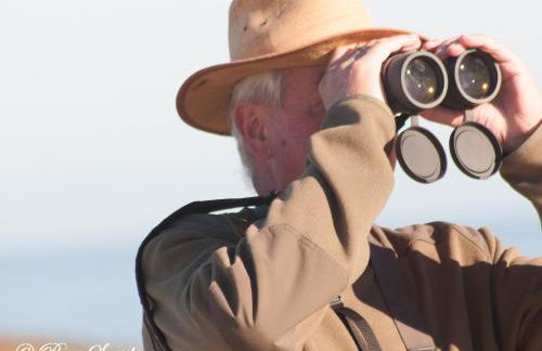 Abetarda CC - Foto 60