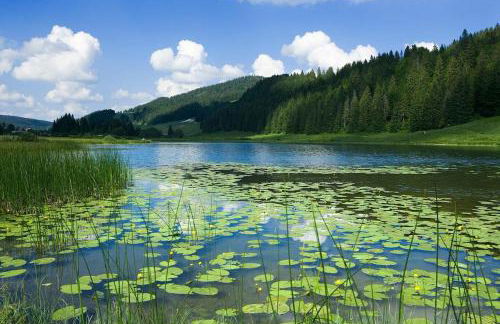 Montagne - Vue Pistes Rando VTT - Foto 22