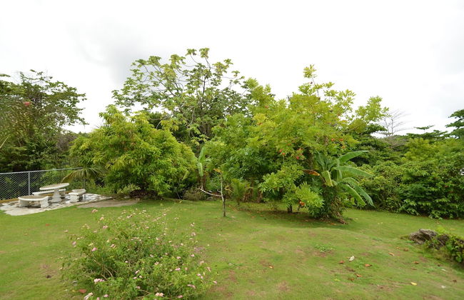 Cozy Locale Inn - Foto 14