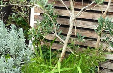 Residência Albuquerque - Foto 16