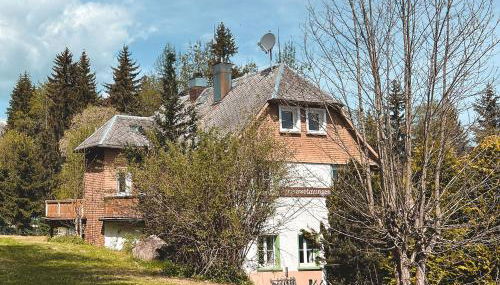 Schwarzwald Apartments im Haus Tanneck - Feldberg - Titisee - Foto 2, Garden, Garden view
