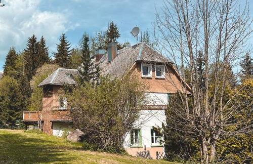 Schwarzwald Apartments im Haus Tanneck - Feldberg - Titisee - Foto 2