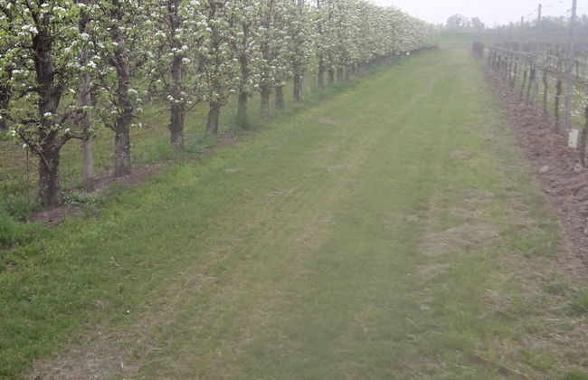 Agriturismo Dosso al Porto - Foto 36