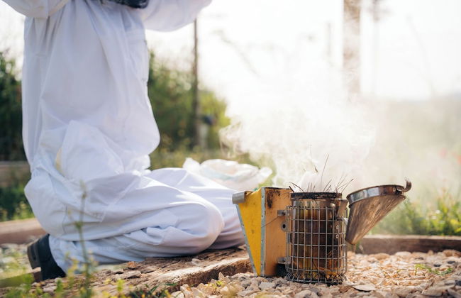 Milea Agritourism - Foto 58