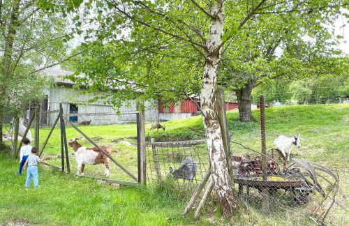 FeWo "Obere Bündt" - Foto 32