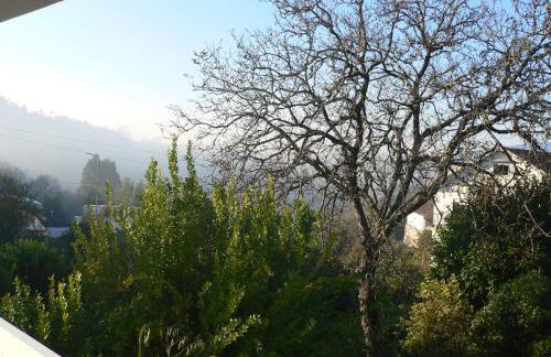 Maria João - Foto 5