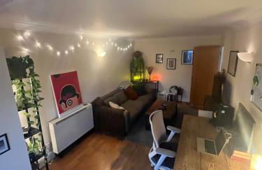 Beautiful large 1-bed apartment overlooking regents canal - Foto 8