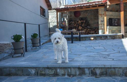 Acorn's Houses, Gray and Green Acorn - Foto 26