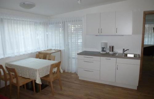Apartment Edelweiss - Foto 47