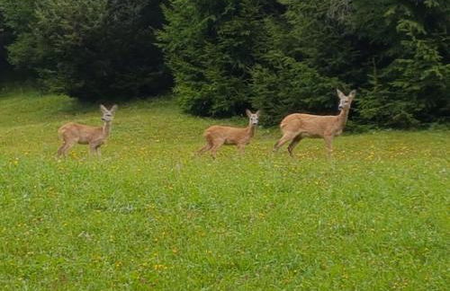 Casa Gabriella - Foto 23