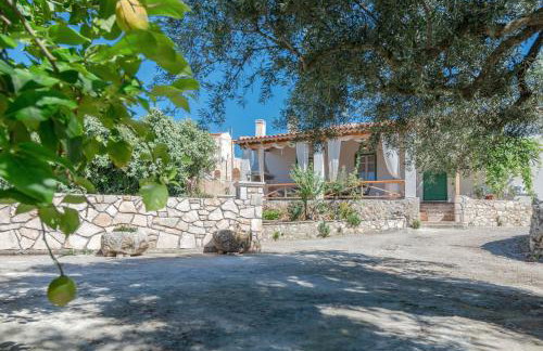 Sempreviva - Foto 47