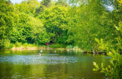 Pinetum Garden Cottages - Foto 102