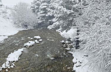 BoxHome Navafría - Foto 25