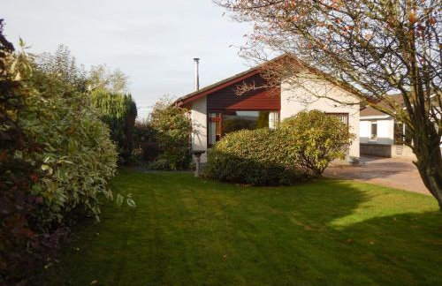 March Brown - Foto 5