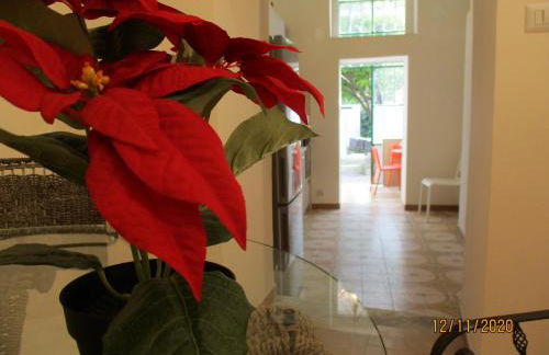 RESORT Giardino degli aranci - Casa Lisca - Foto 20