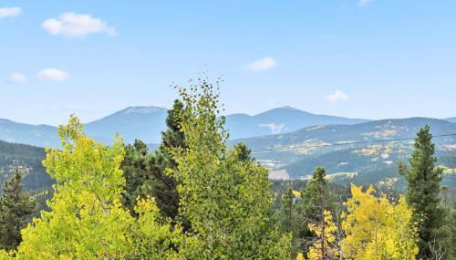 Treehouse 1BR with Hot Tub home - Foto 4