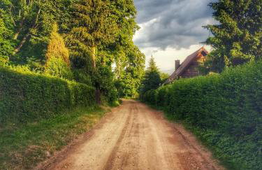 ArtHouse Pelnik - Photo 62