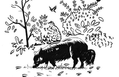 Elm Tree Cottage - Foto 43