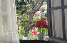 Resort Village - Foto 38