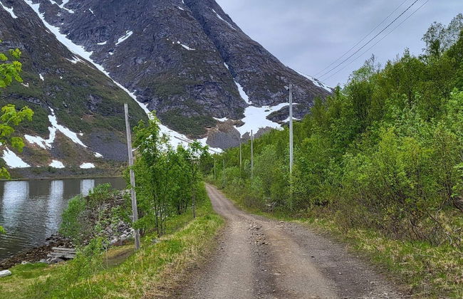 10 Person Holiday Home in Reinfjord-by Traum - Foto 20