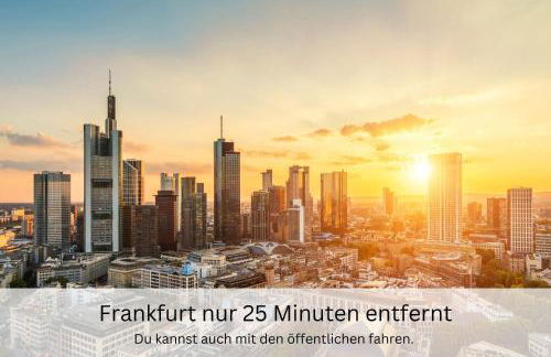 Urban Jungle Industríal Parkplatz Balkon Business - Foto 20