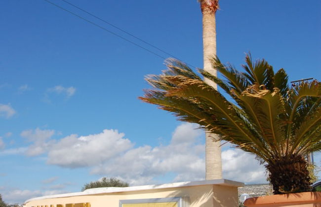 Panareti Coral Bay Hotel - Foto 50