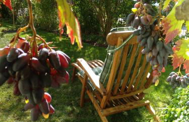 Kakteengarten - Foto 5