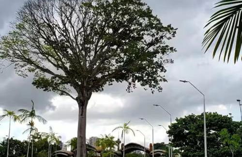 Apart de 2 qtos - Nazaré - Atrás da Basílica de Nazaré - Foto 15