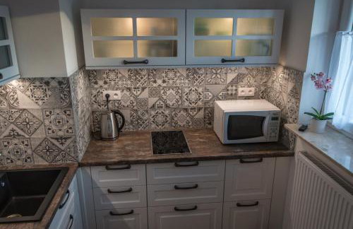 Apartament Parkowy - Foto 9