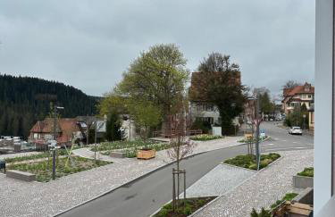 Schwarzwald Studio - Photo 9