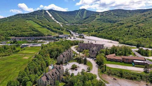 The Grizz AC Pool Sauna Gym Near Resort - Photo 4