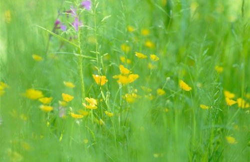 Talehay Cottages - Foto 48