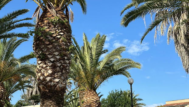 ABC Sweet Home - Foto 5